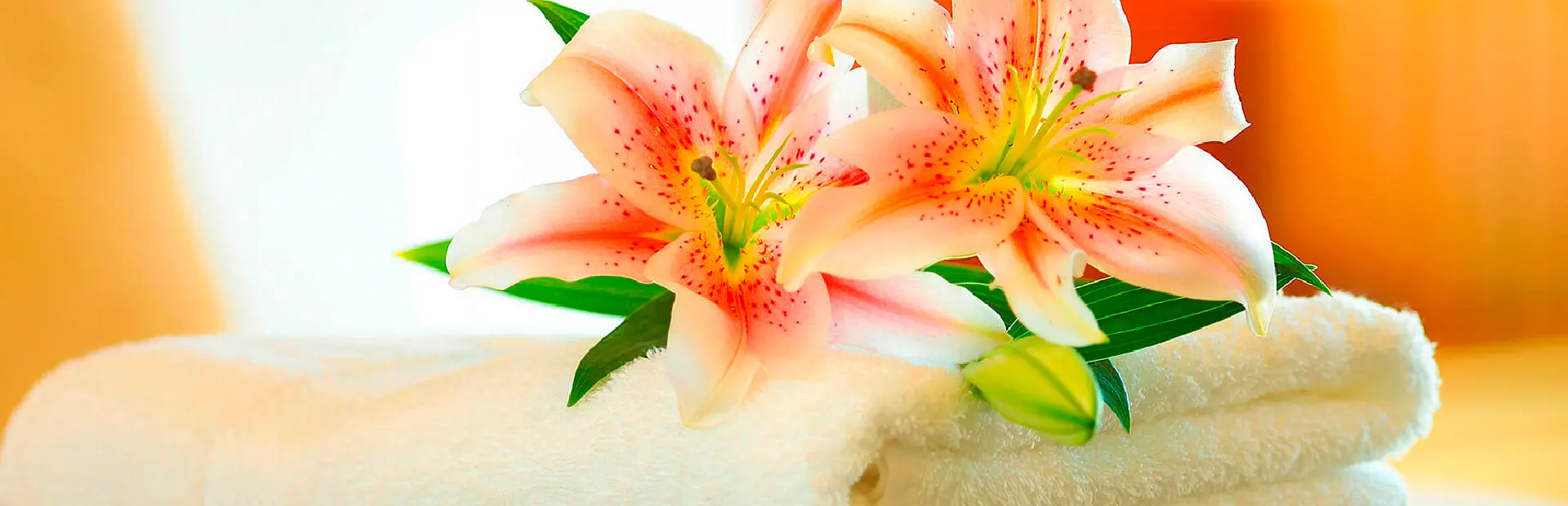 Suporte ao Turista em Caldas Novas Goiás